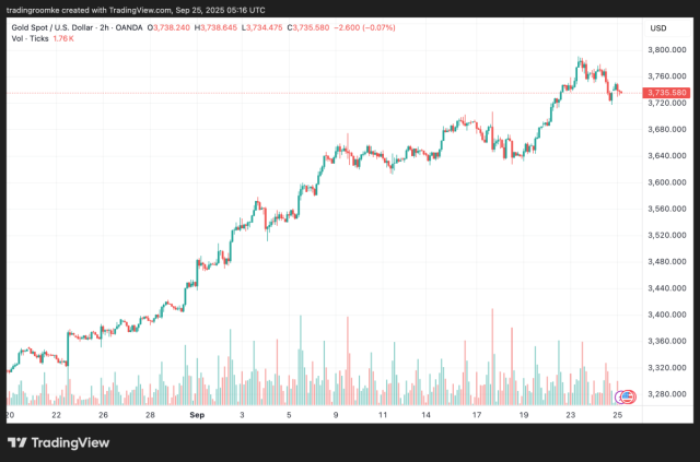 Gold Price Chart